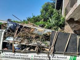 Best Hoarding Cleanup  in Tichigan, WI
